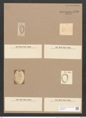 Surirella fastuosa Ehr. (de-Toni-Nr.: Genus 53, Species 2276) Zeichnungen Sammlung Grunow Nr. 4719 (NHMW-BOT-W0372816)